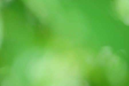Abstract green background featuring soft focus foliage, evoking a sense of calm and tranquility, perfect for nature-inspired designs and creative projectsの写真素材