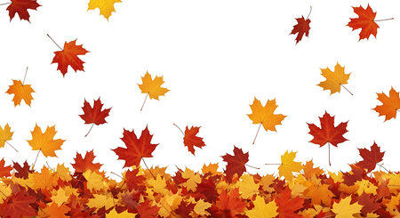 Illustration of falling autumn leaves isolated on white background create a seasonal borderの素材