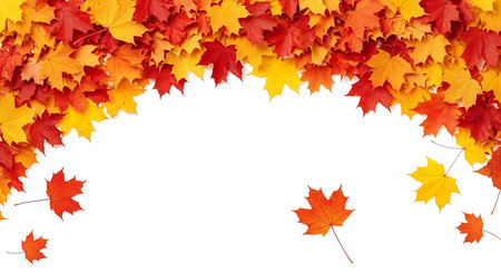 Illustration of autumn maple leaves falling, isolated on white background, colorful foliageの素材