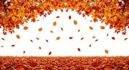 Illustration of autumn leaves falling from the trees isolated on white backgroundの素材