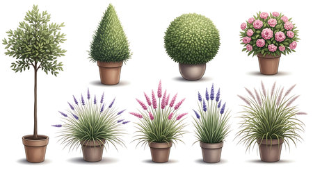 A curated assortment of diverse potted plants including sculpted topiary trees ornamental grasses and vibrant floral arrangements.の素材