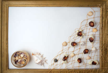 Chocolate candies, traditional Belgian shell shape. sea