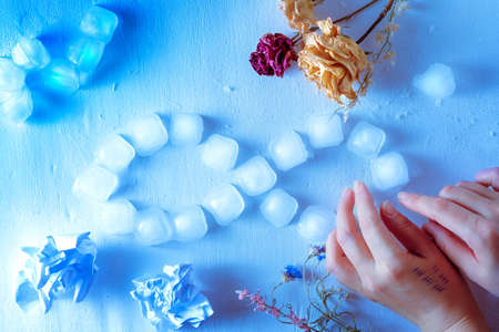 Forgotten flower painting the roses covered with cold needles of frostの写真素材