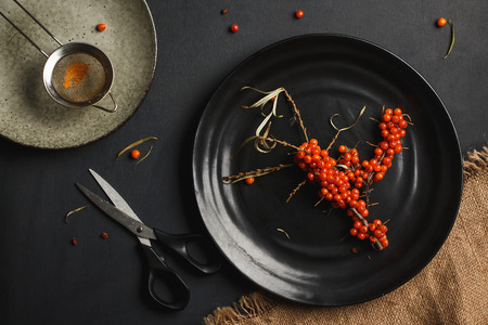 The harvest of seabuckthorn (Hippophae rhamnoides) scissors plateの写真素材