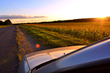 Sunset on a corn field with a car in the foreground.