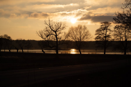Sunset over a lake with trees silhouetted in the foregroundの写真素材