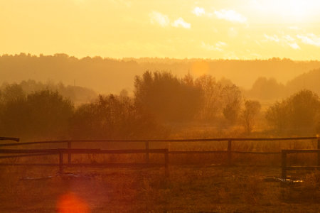 Foggy morning in the meadow with wooden fence, nature seriesの写真素材