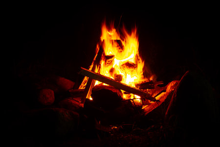 Bonfire in the forest at night. Close-up view.