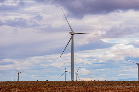 Field of wind turbines