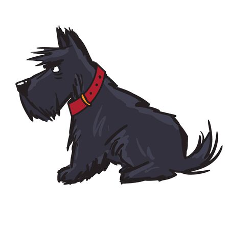 scottish terrierのイラスト素材