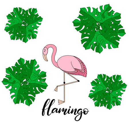 Flamingo with tropical leaves lettering vector illustration in pink colors. Template for summer sale banner, party invitation card, poster, feminine print with exotic bird and palm tree leaf. EPS10のイラスト素材