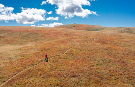 Unrecognizable hiker on a trail in the dry blueberry meadow with white clouds and blue sky - the top...