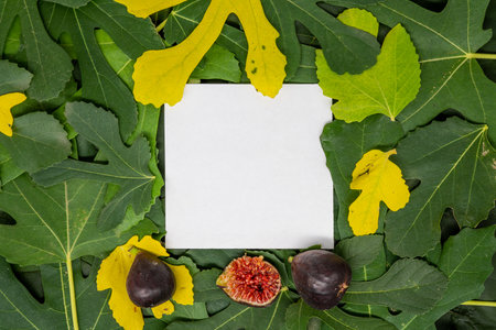Creative layout made of fig leaves and fresh fruit in autumn and paper card. Flat lay. Autumn nature leaves concept.の写真素材