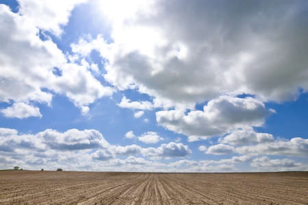 Endless fields in North-Germany, district Uckermark.