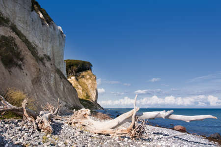 The white Chalk cliffs at the east coast of the island Moen, Denmark.の写真素材