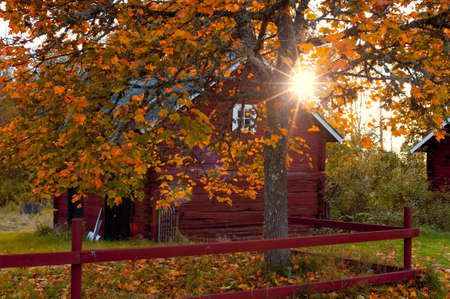 An old abandoned farm in Sweden, Europe, in the light of the evening sun.の写真素材