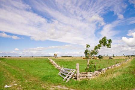 Windmill on the swedish island Olandの写真素材