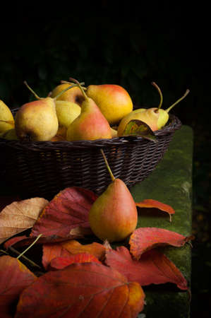 Basket with fresh pears - low key photographの写真素材