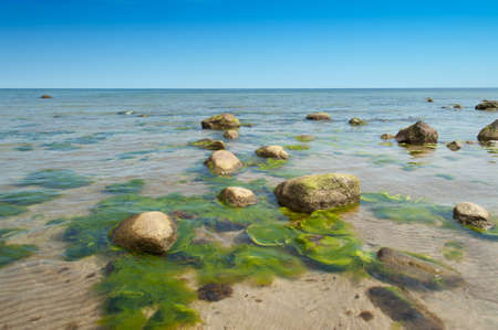 Clear water and rocks at the beach near BlÃ¤singe on the island Oeland, Swedenの写真素材
