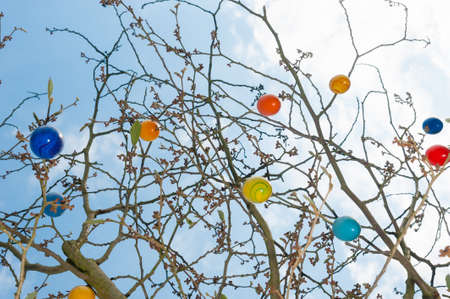 Easter eggs hanging in the branches of a treeの写真素材