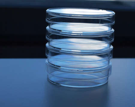 Column of empty laboratory test plates