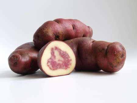 Potato tuber section of native variety form the Andes,Peruの写真素材