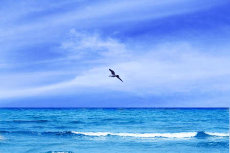 beachの写真素材