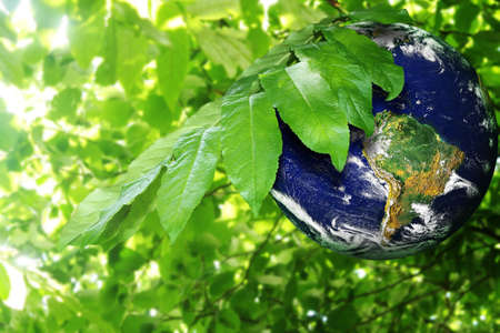 earthの写真素材