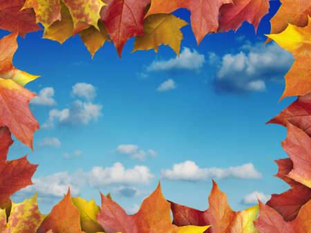 autumn leaves frameの写真素材