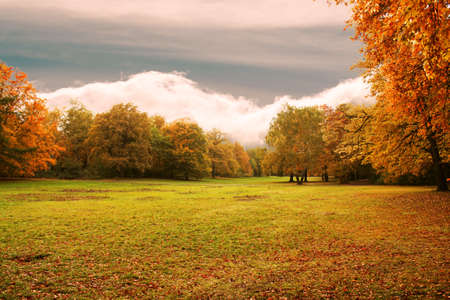autumn backgroundの写真素材