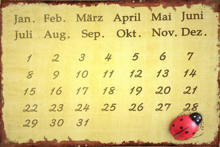 Ladybug calendar for  yearsの写真素材