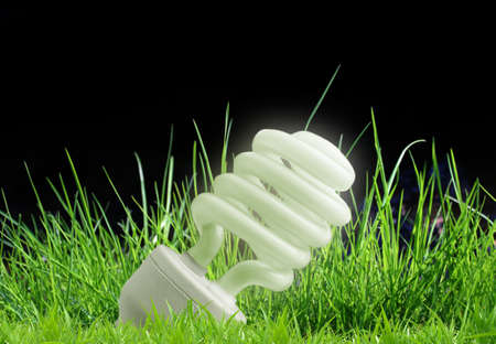 Eco-friendly light bulb lying in the grass