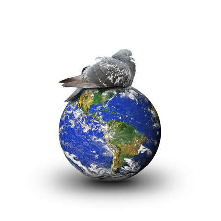 dave on the earthの写真素材