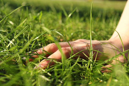 Hand and  green grasの写真素材