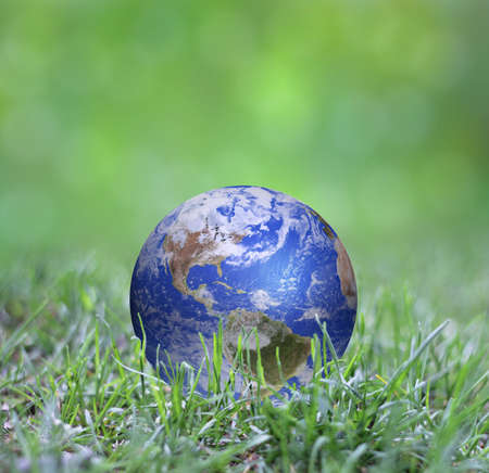 Earth globe laying in the grass