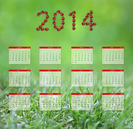 Yearly calendar 2014 in greenの写真素材