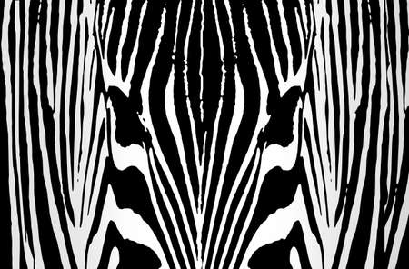 zebra background