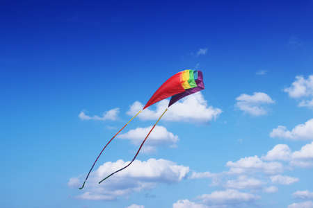 Nice kite flyingの写真素材
