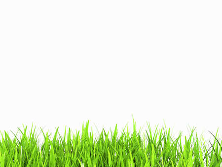green grass isolated on whiteの写真素材