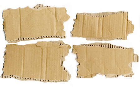 4 Cardboard torn pieces on whiteの写真素材
