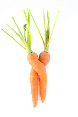 Carrotsの写真素材