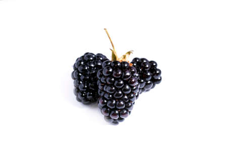 The blackberry berry is isolated on a white backgroundの写真素材
