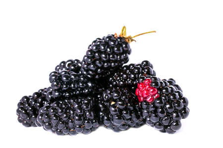The blackberry berry is isolated on a white backgroundの写真素材