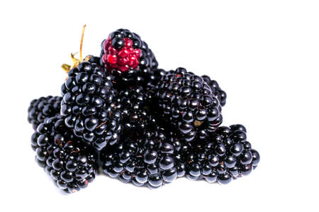 The blackberry berry is isolated on a white backgroundの写真素材