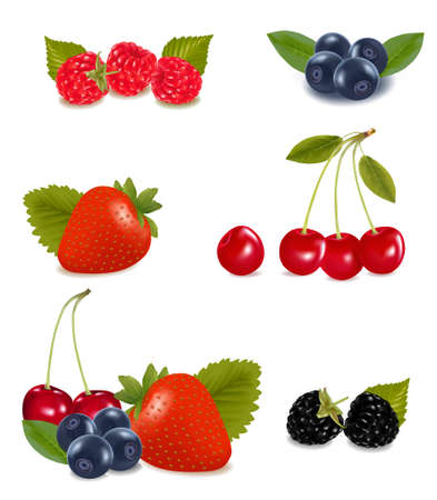 Collection of berries.  のイラスト素材