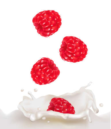 Red raspberry fruits falling into the milk splash. illustration のイラスト素材