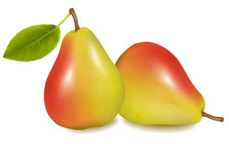 Two ripe yellow pears with green leaf. illustration のイラスト素材