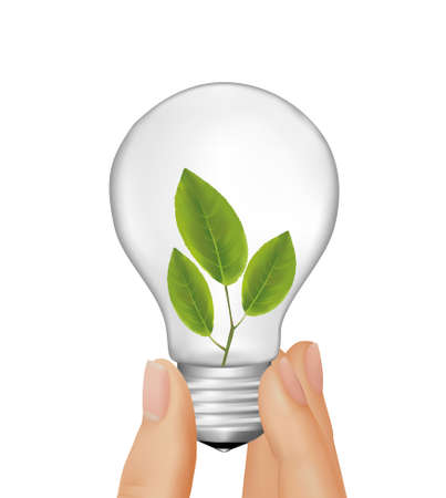Plant inside light bulb in hand. illustration. のイラスト素材