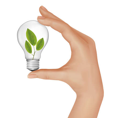 Plant inside light bulb in hand. illustration. のイラスト素材