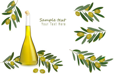Bottle of olive oil with olives and spices. Vector. のイラスト素材